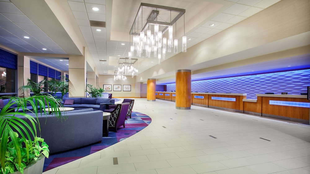 Disneyland Hotel 16/70