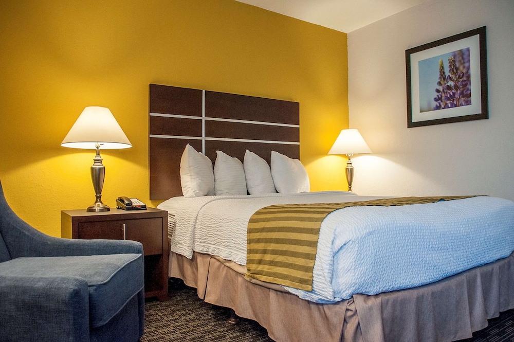 Best Western Village Inn Fresno 21/39