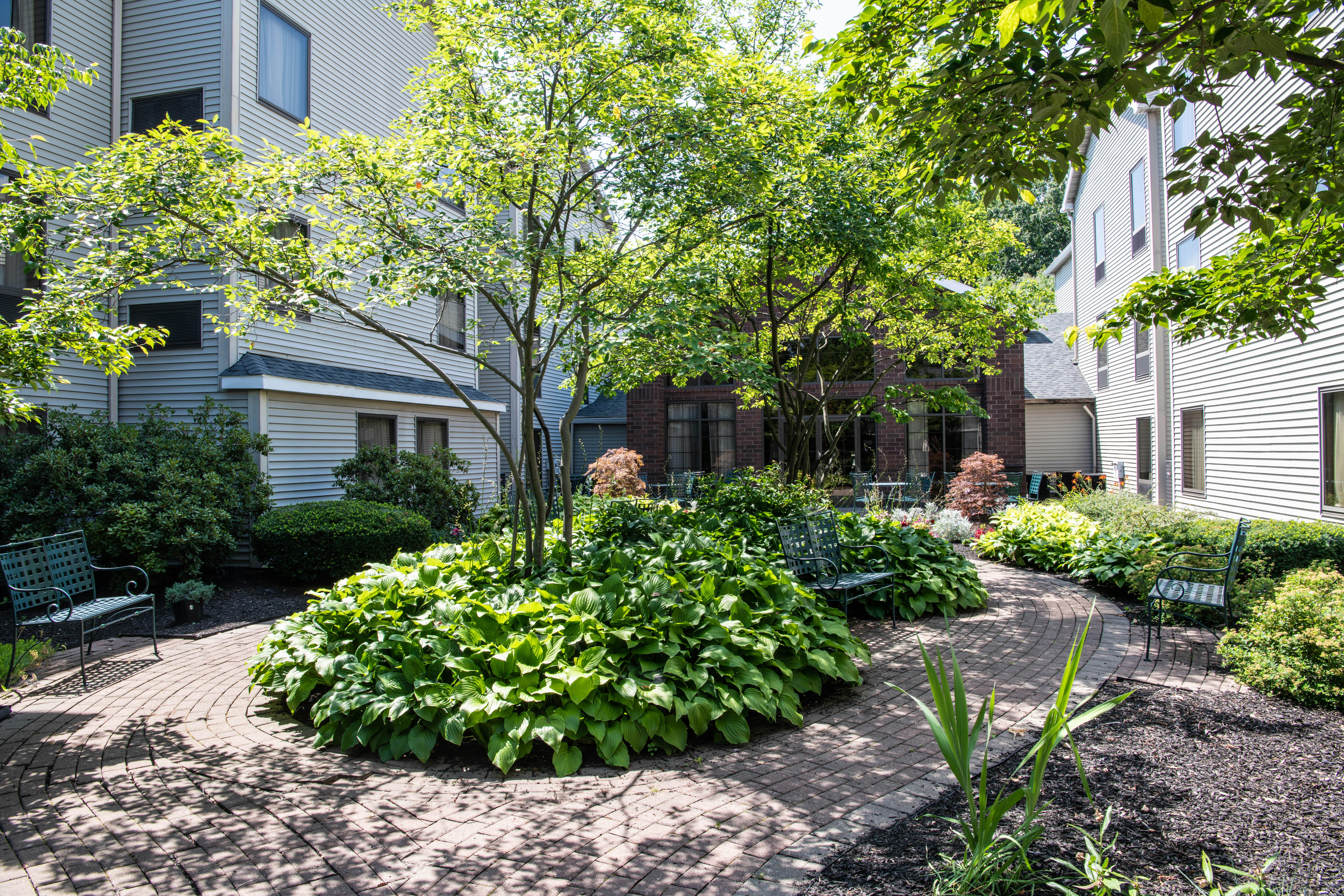 Hampton Inn and Suites Rochester/Victor 55/60