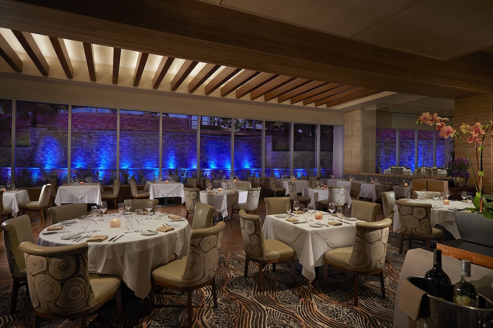 The Guitar Hotel at Seminole Hard Rock Hollywood 38/50