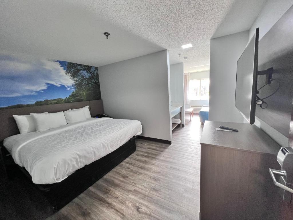 Room, King Bed