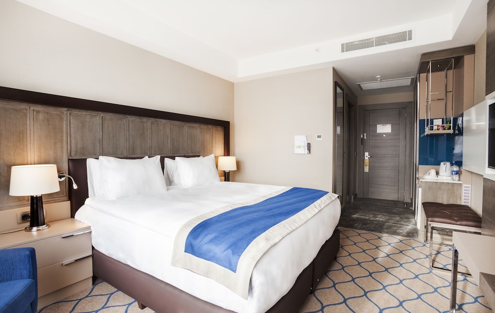 HOLIDAY INN KAYSERI - DUVENONU 16/62