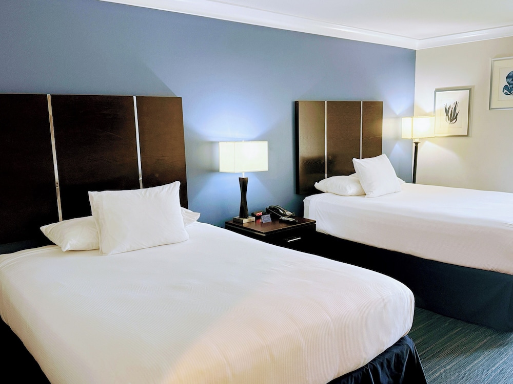 Executive, 2 Queen Beds, Balcony