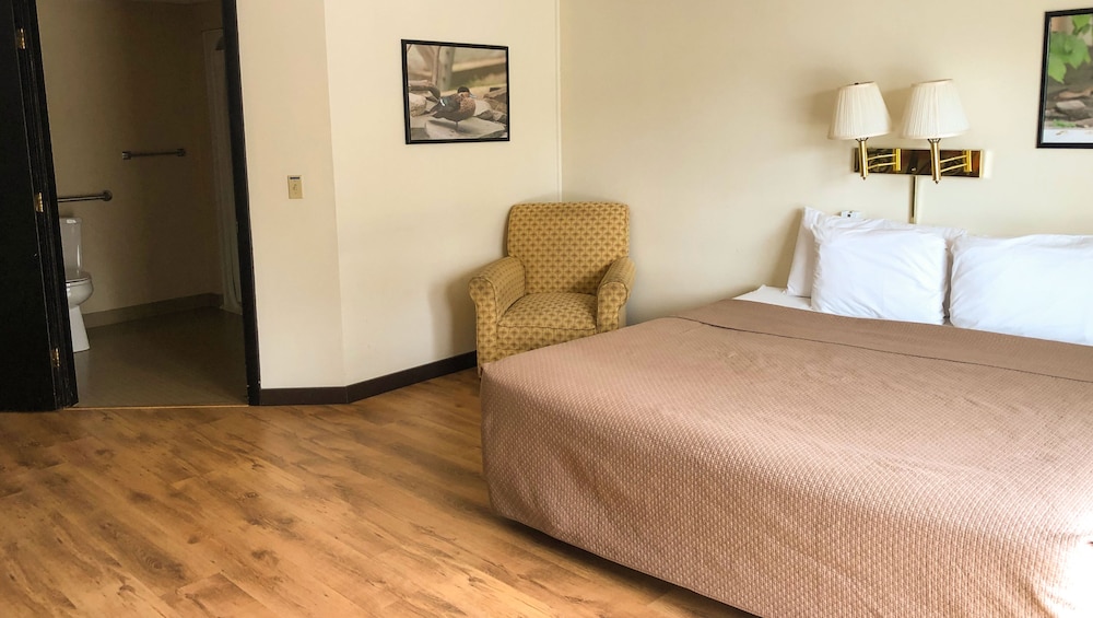 Room, King Bed, Accessible