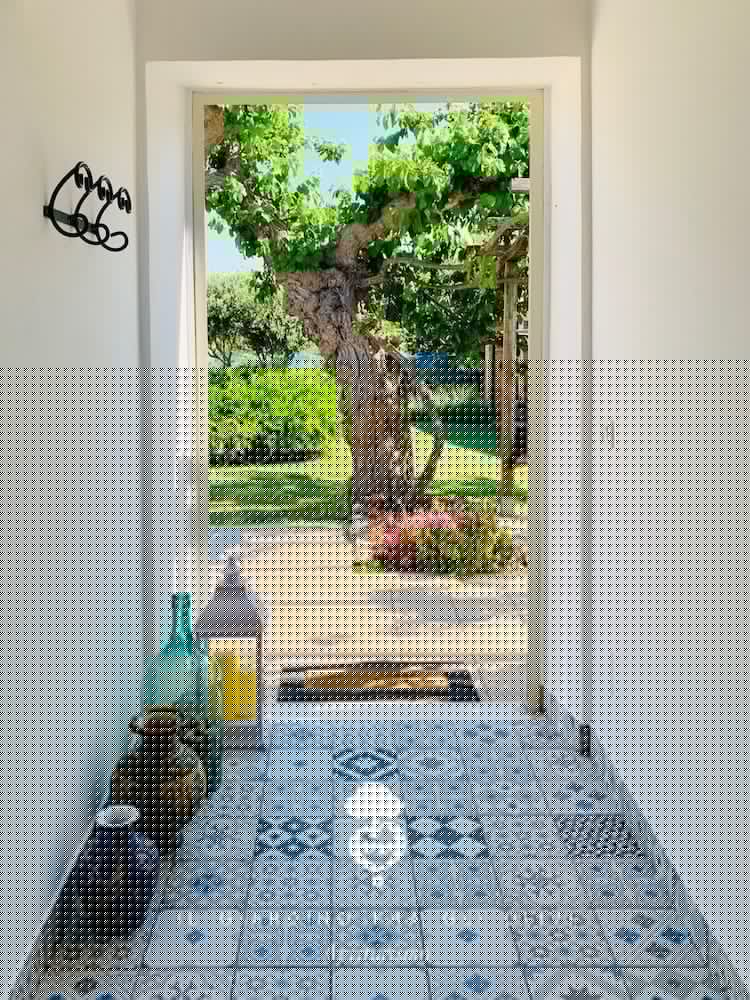 Il Giardino Fra Gli Ulivi 8/56