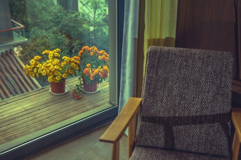 Xihu Memories Tree Hotel 39/50