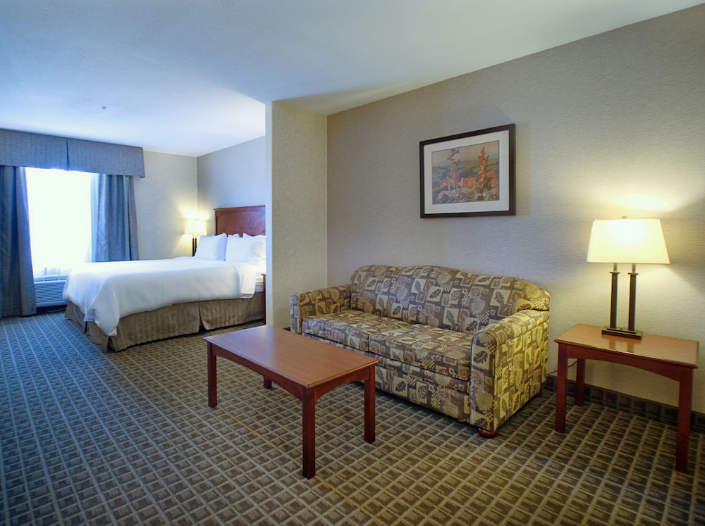Holiday Inn Express And Suites Edmonton North 47/75