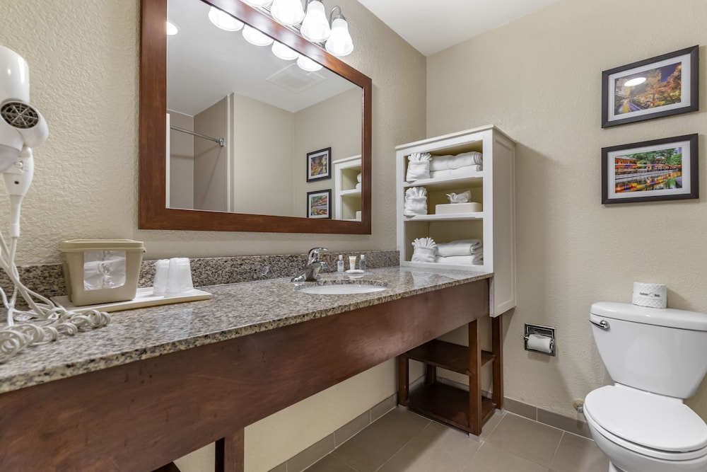 Comfort Suites Medical Center Near Six Flags 17/44