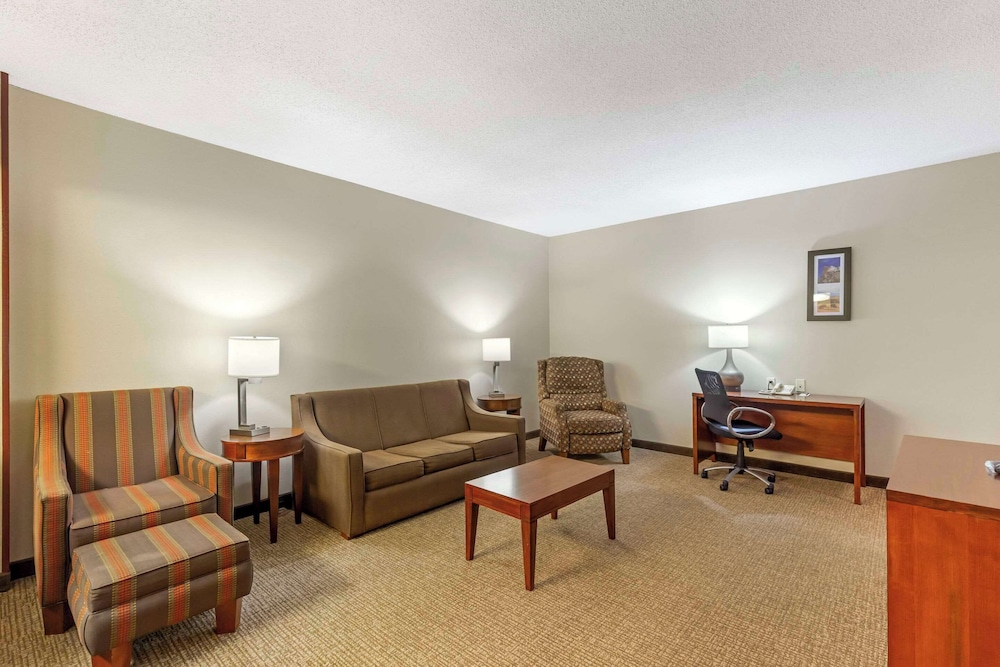 Comfort Inn & Suites Rapid City South - Mt Rushmore Gateway 48/66