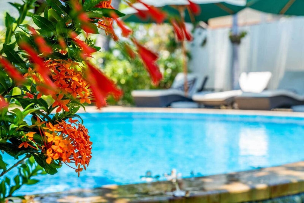 Ocean Sun Dive Resort 28/59
