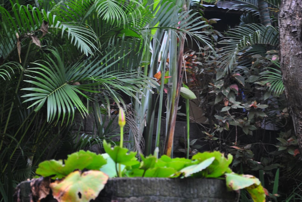 Trijaya Guest House 59/72