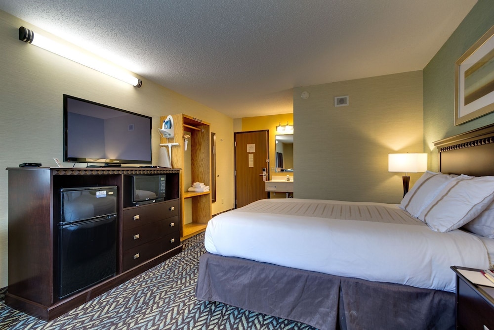 Suite, Queen Bed
