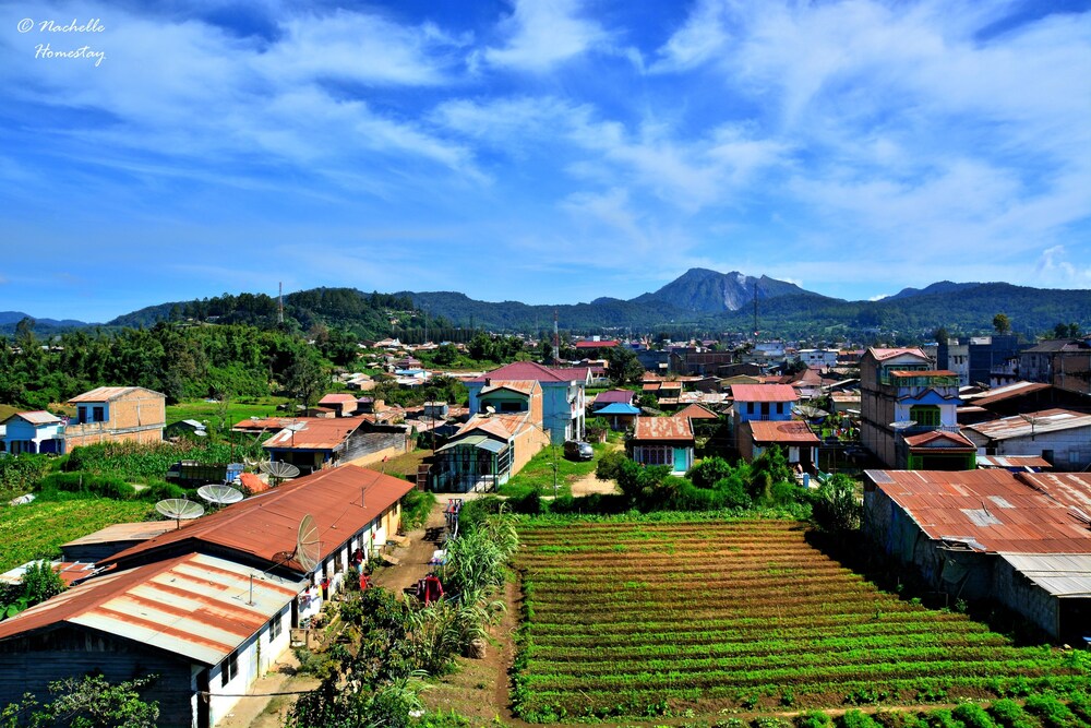 Berastagi Nachelle Homestay 40/50