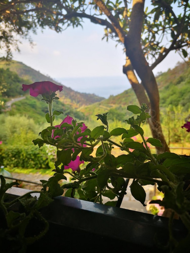 Agriturismo Costa Di Campo 29/44