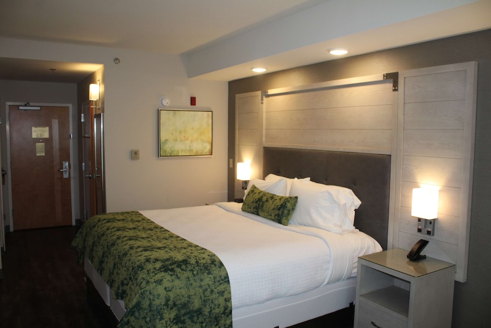Best Western Premier I-95 Savannah Airport/ Pooler West 7/34