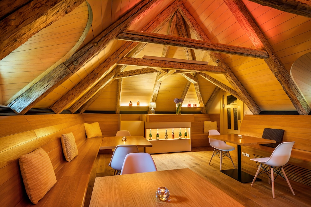 Bellevue Hotel Karlov 48/66
