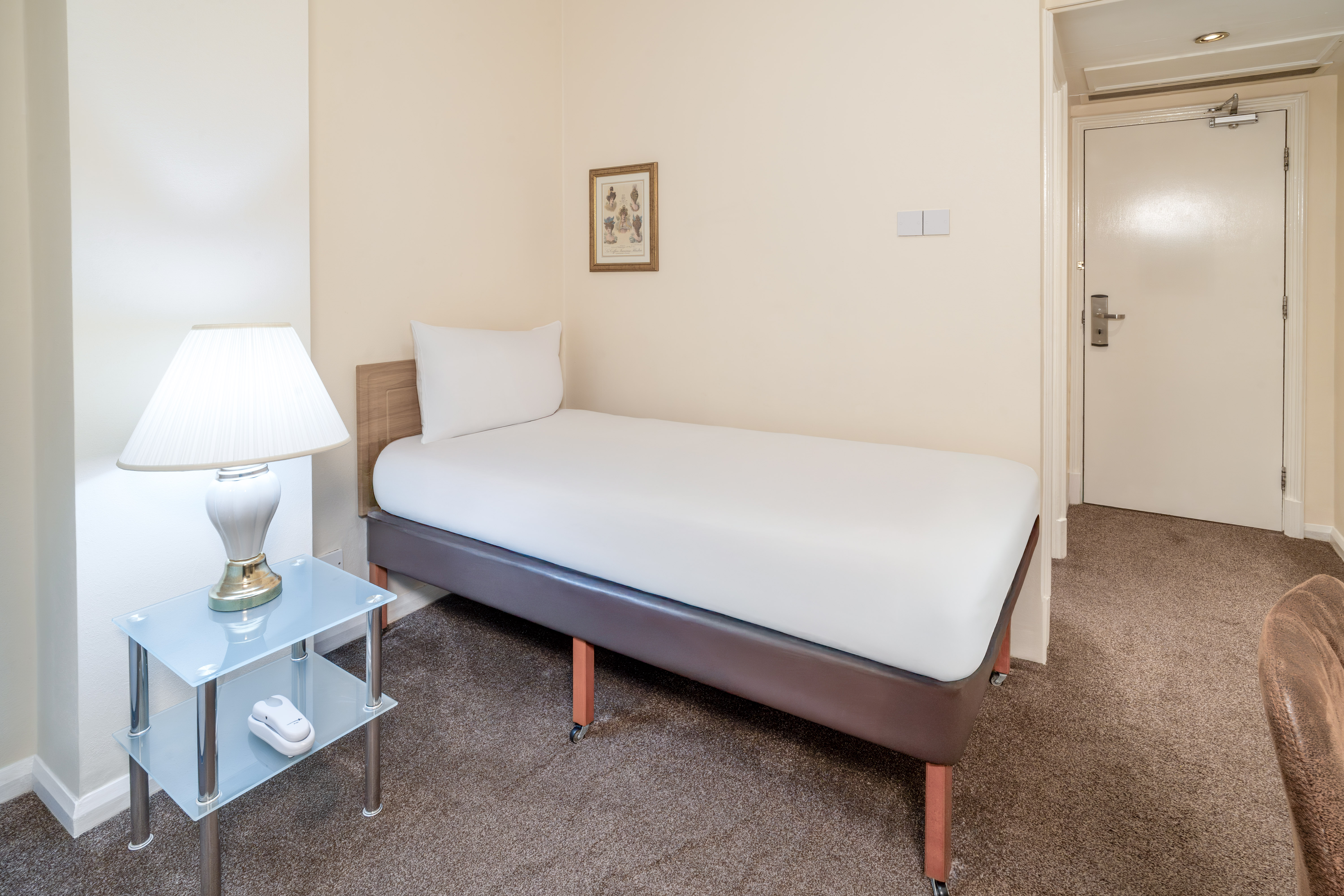 ROOM, SINGLE, PRIVATE BATHROOM