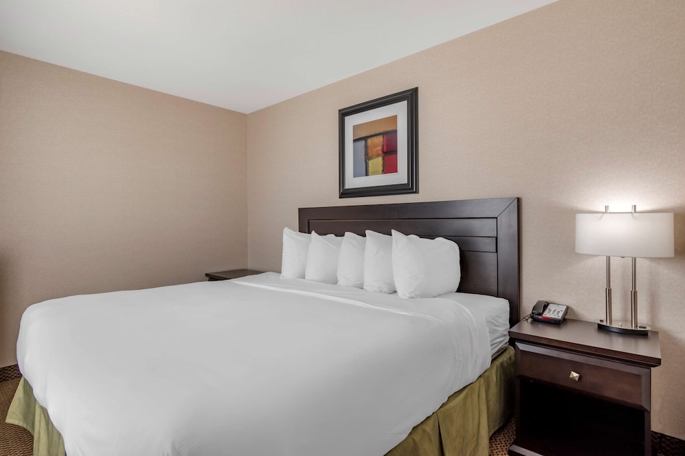 Best Western Bonnyville Inn and Suites 11/40