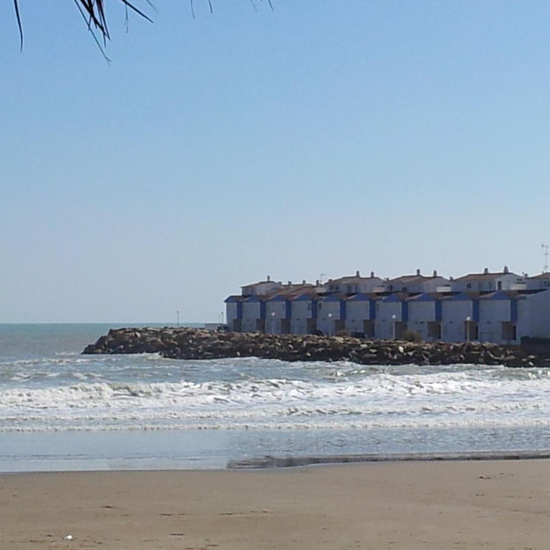El Puerto 20/30
