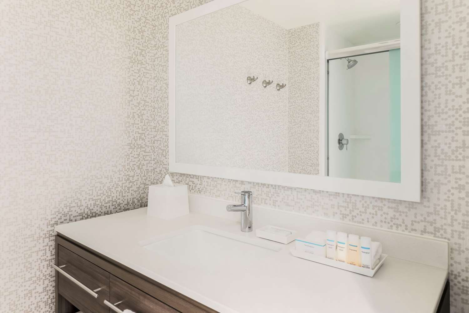 1queen Hearing Accessible Suite Nonsmoking