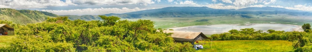 Pakulala Safari Camp 44/56