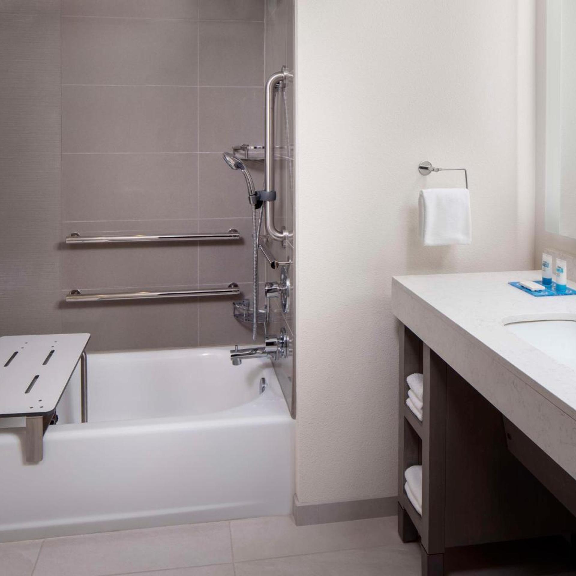 1 Bedroom, Specialty, Suite, Queen Bed, Kitchen, Accessible 2/2