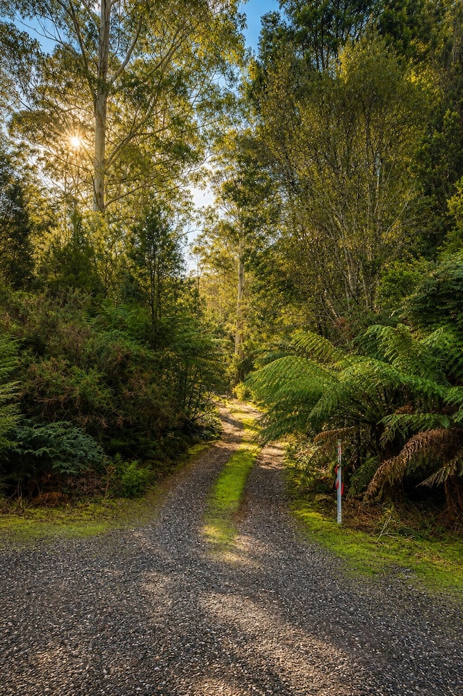 Cradle Forest Inn 40/50