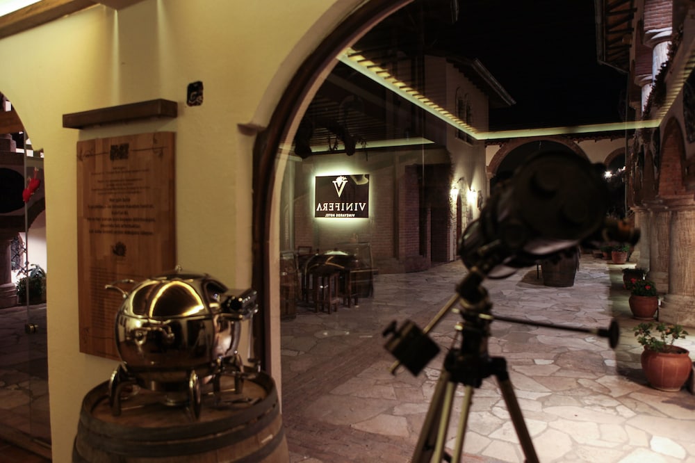 Vinifera Vineyards Hotel 27/50