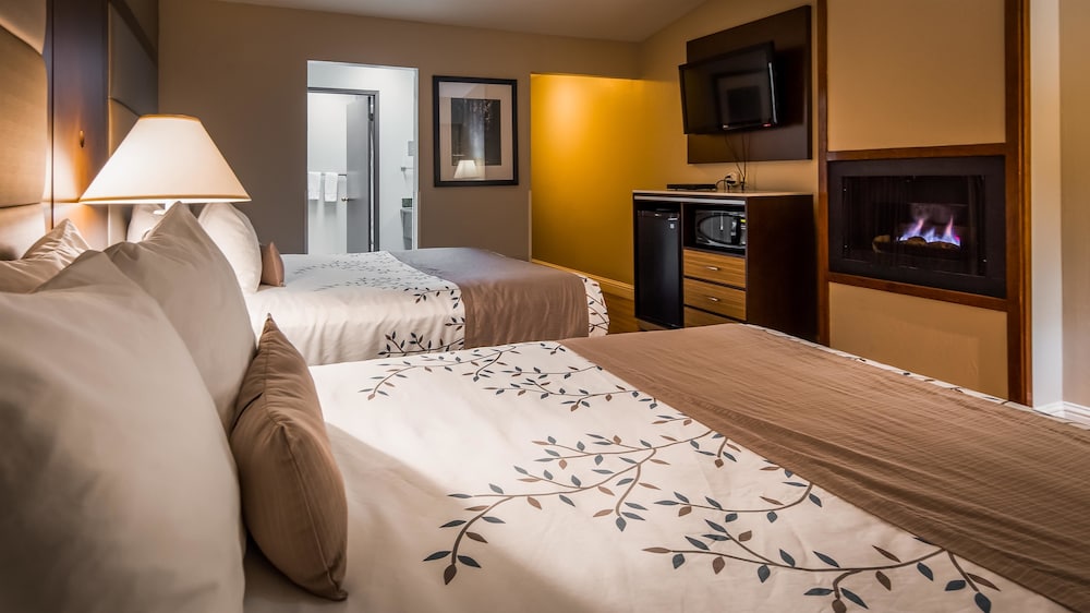 Best Western Plus Forest Park Inn 24/53