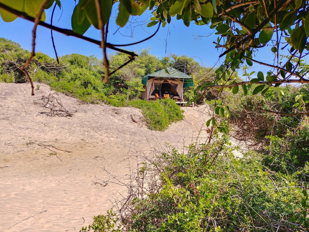 Back Of Beyond Dune Camp - Yala 41/48