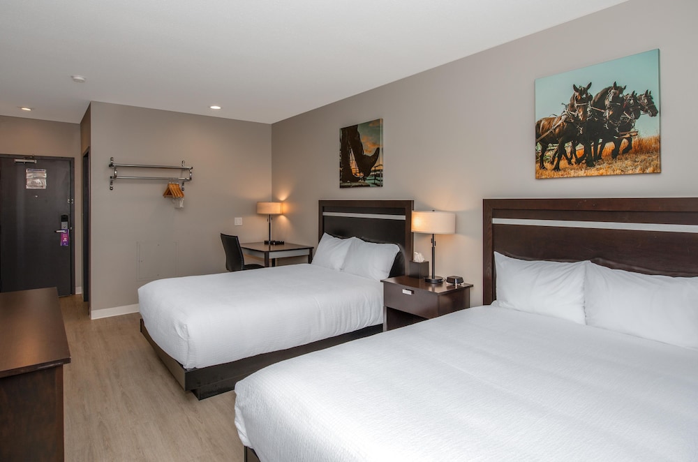 Travel Inn Suites Innisfail 16/46