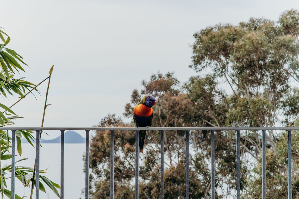 Bannisters Port Stephens 10/72