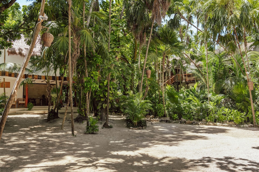 Hotel Dos Ceibas Eco Retreat Tulum 46/50