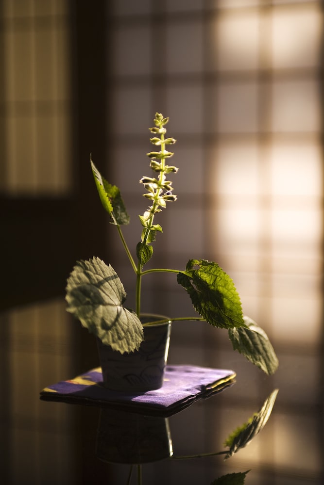 元湯石屋 写真3