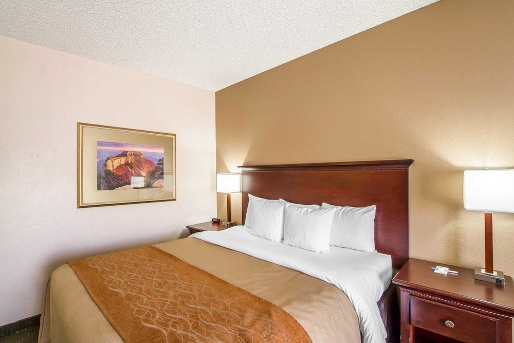 Comfort Inn I-10 West at 51st Ave 13/39