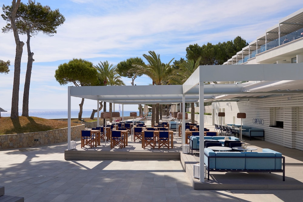 Melia Calvia Beach 44/50