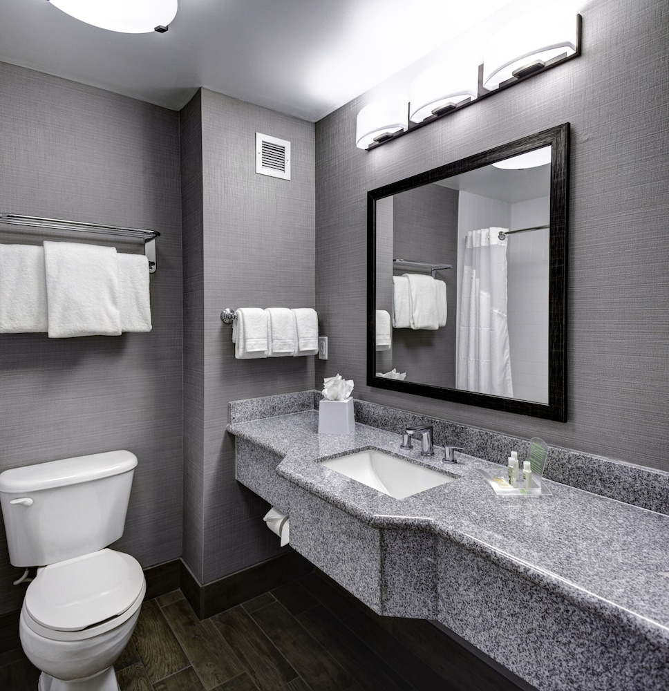 Holiday Inn Savannah Historic District 17/56