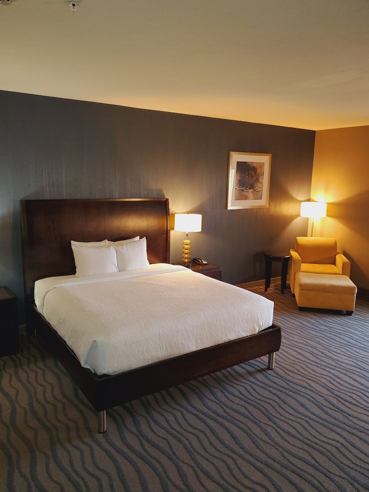 Hilton Garden Inn Fort Worth Alliance Airport 17/59