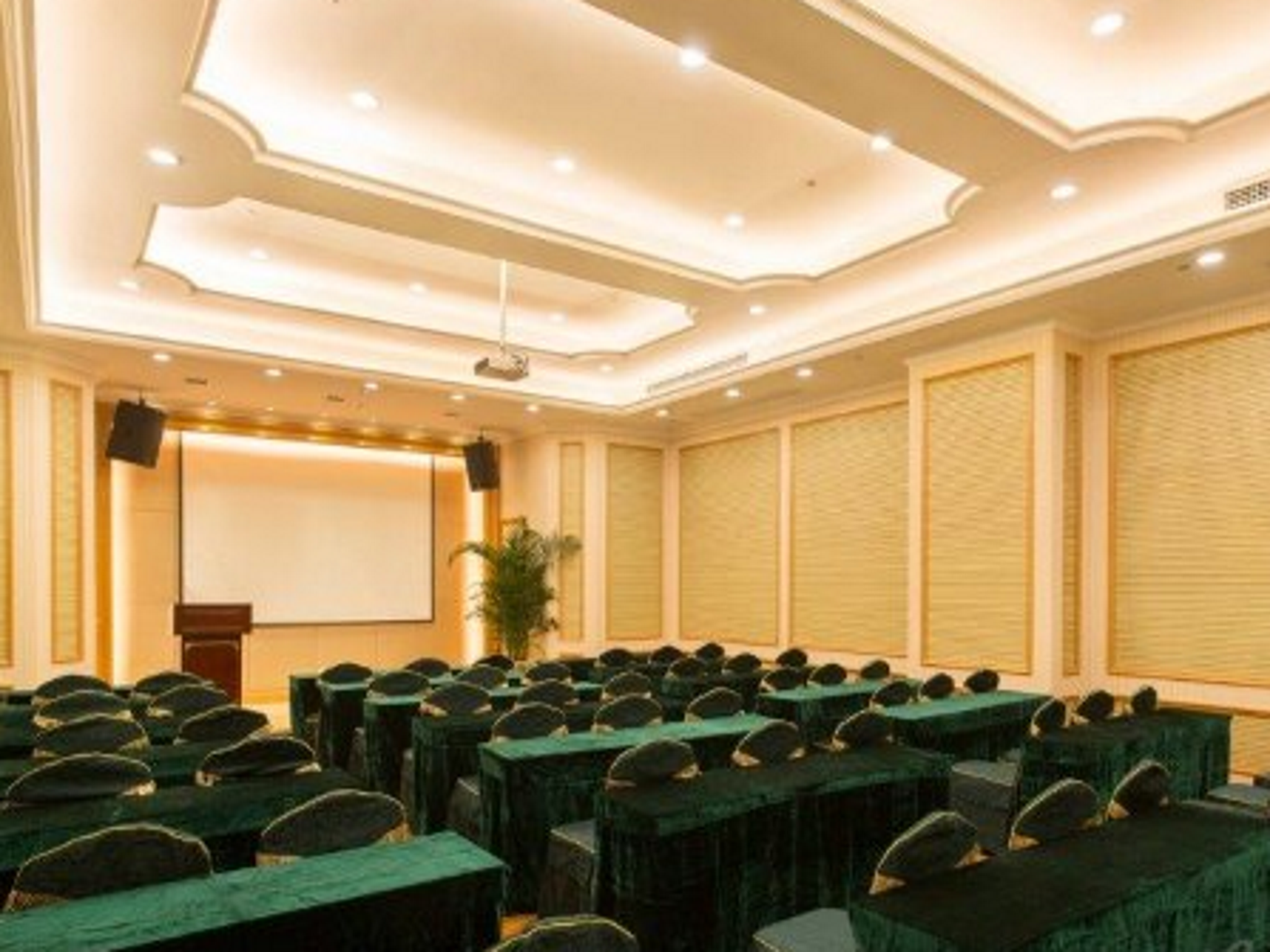 Vienna International Hotel (Changsha Hongxing Desiqin Plaza) 44/49