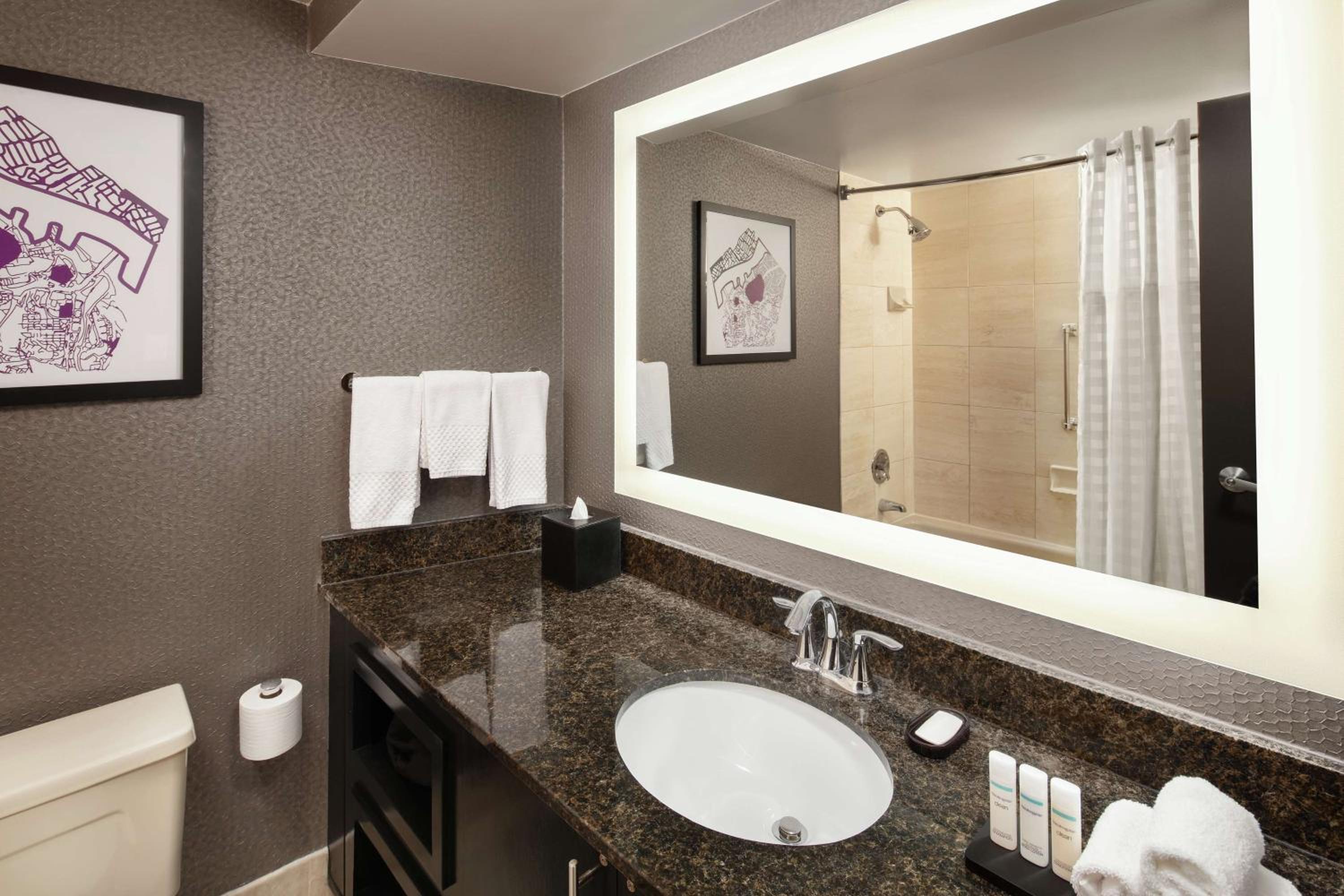 2 Rooms, Suite, King Bed, Statue View، Embassy Suites By Hilton Crystal City National Airport 6/7