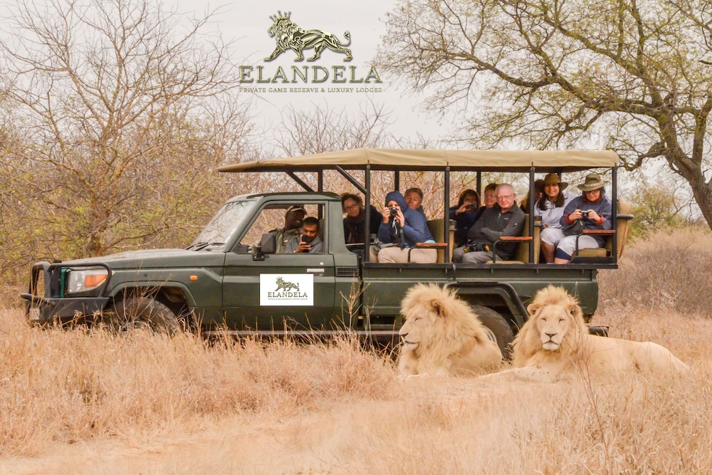 Elandela Private Game Reserve And Luxury Lodge 40/50