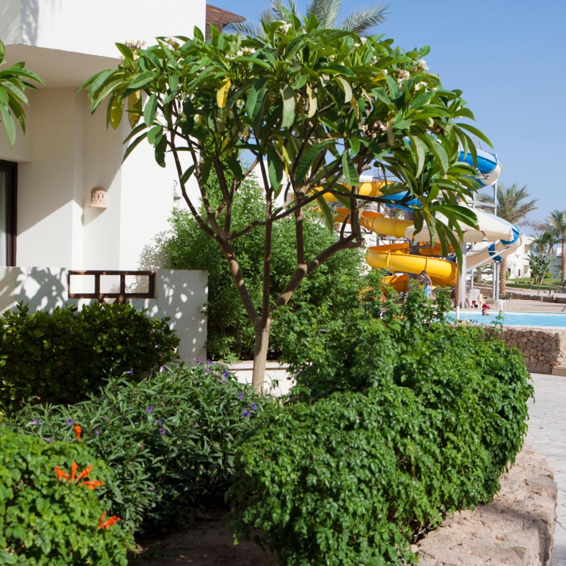 Sharm Resort 68/75