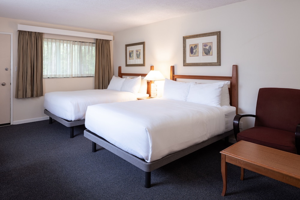 ROOM, 2 QUEEN BEDS