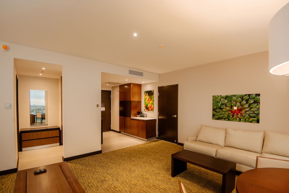 Hilton Garden Inn Puebla Angelopolis 37/50