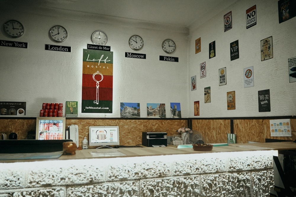 Loft Hostal 6/50