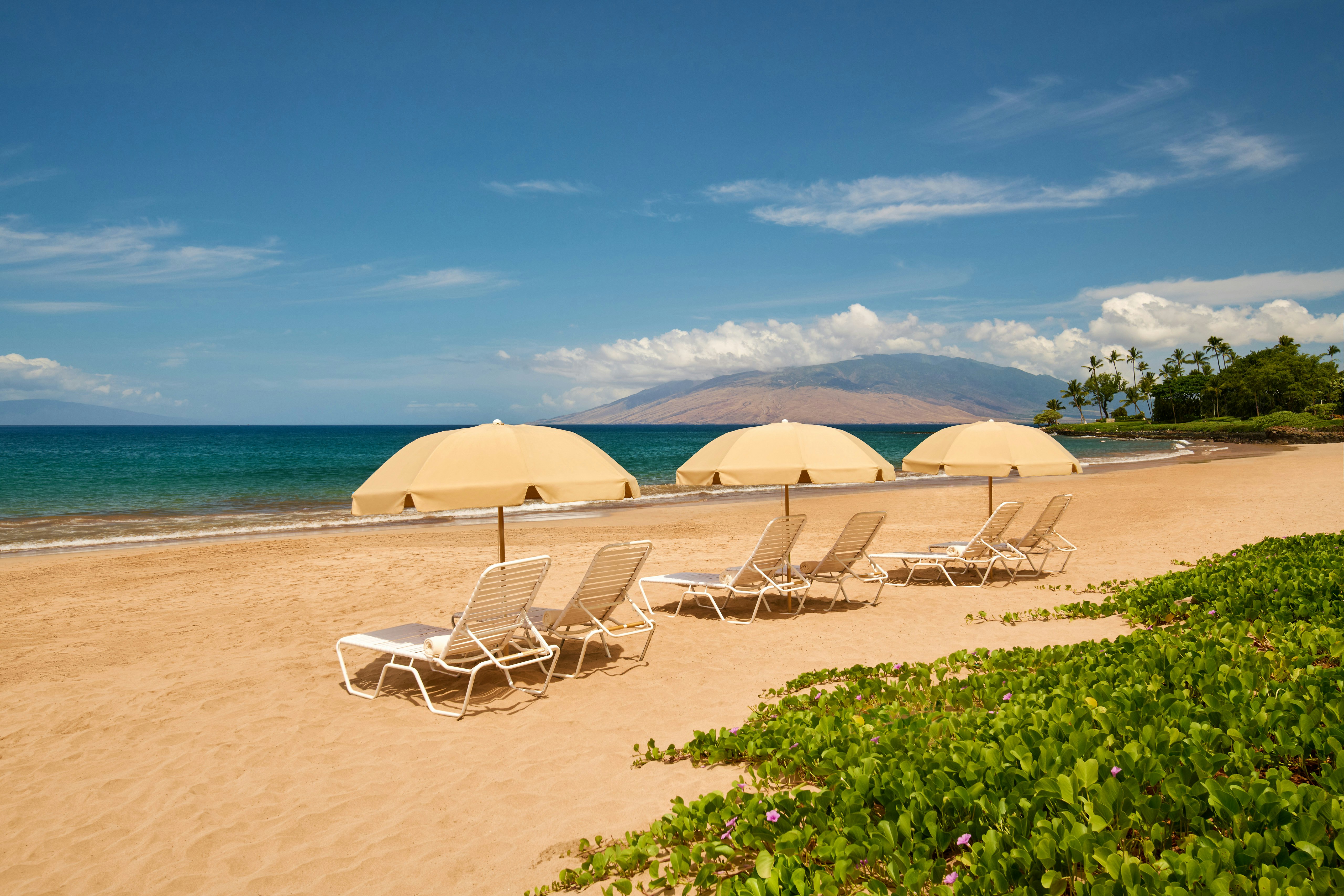 Grand Wailea Maui, A Waldorf Astoria Resort 83/85