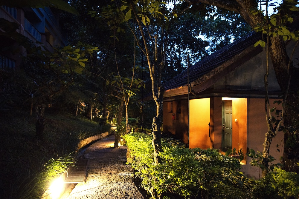 Abad Green Forest 7/50