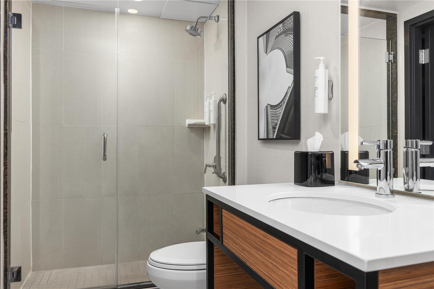 Evolution, King Bed، Hilton Garden Inn Toronto Airport 3/5