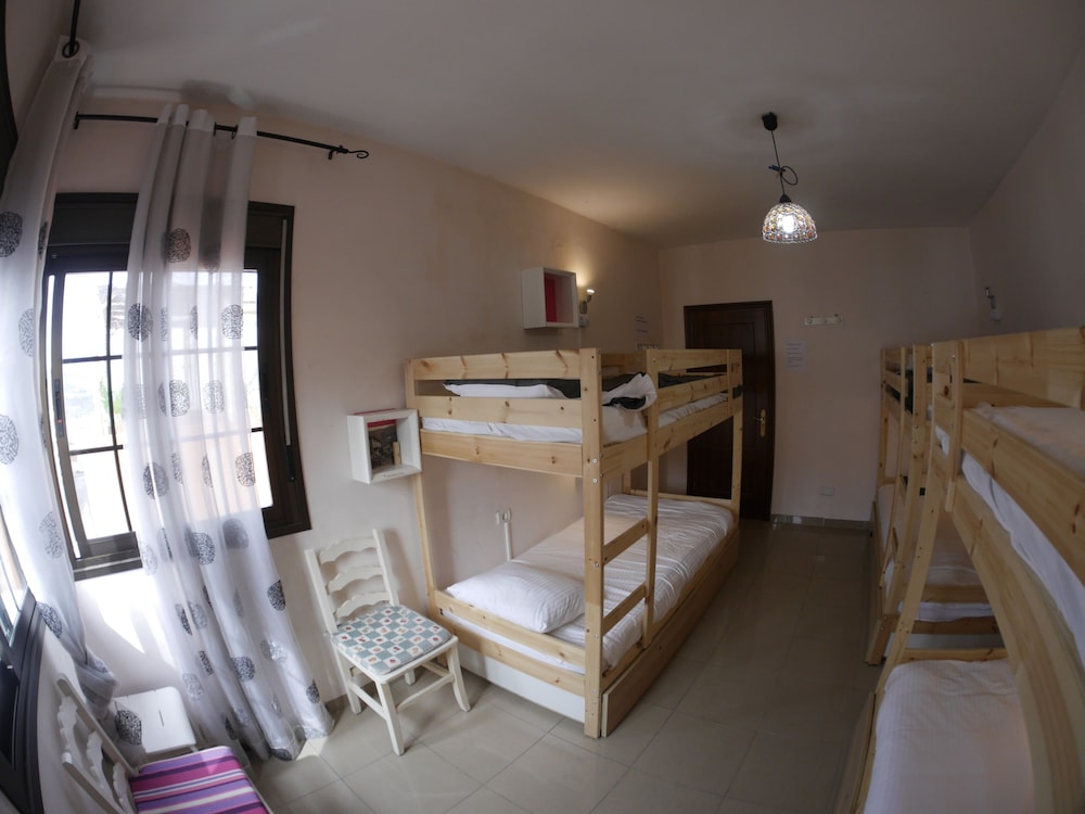 Drago Nest Hostel 34/50