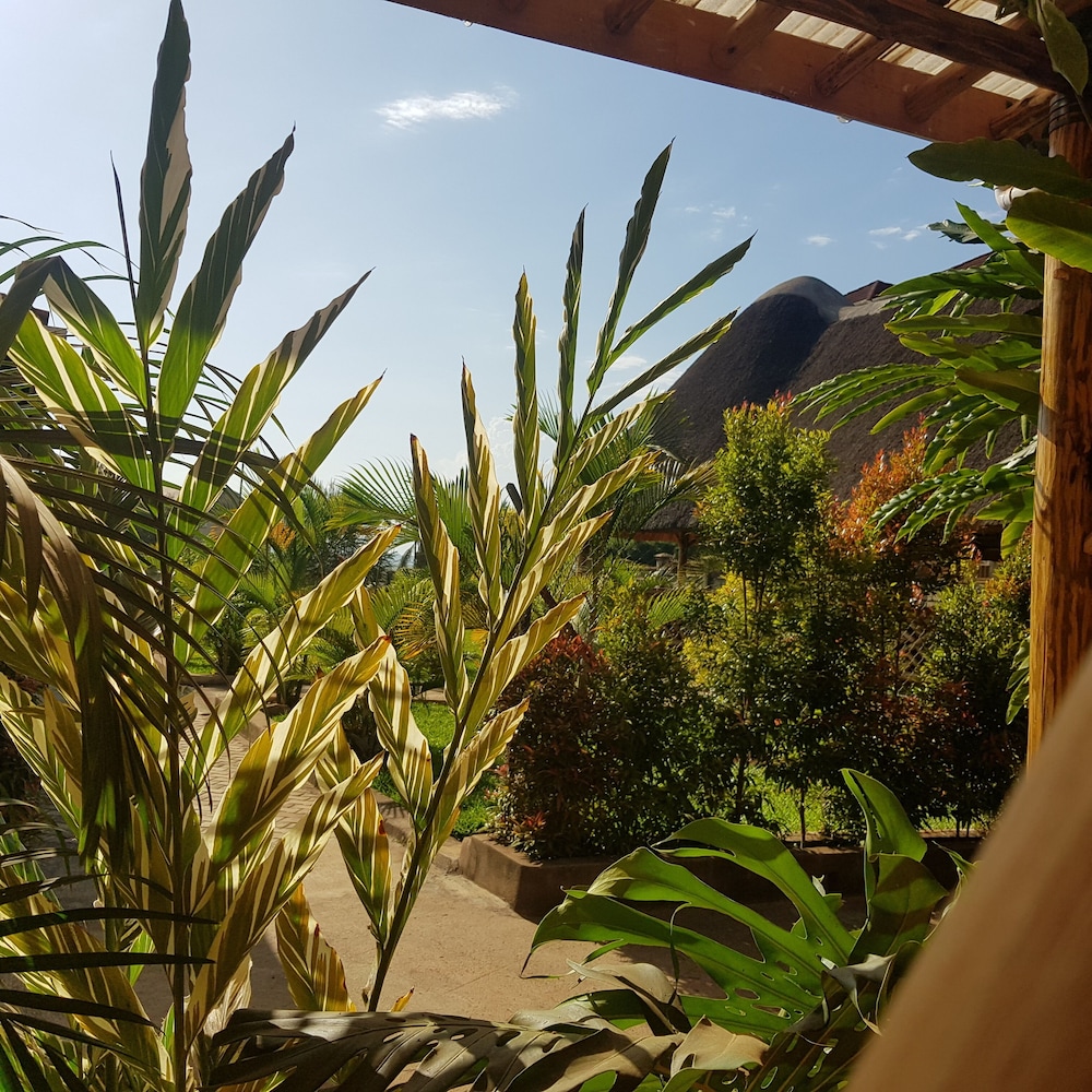 African Roots Guesthouse 33/47